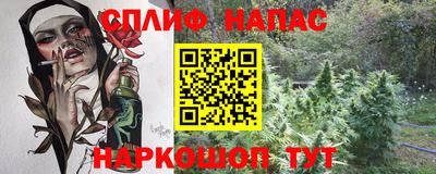 индика Мариинск